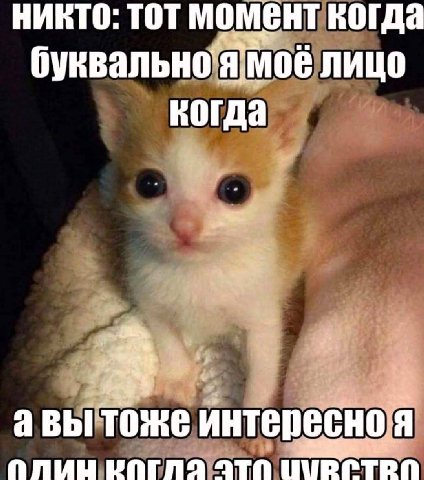 НИКТО: TOT МОМЕНТ Когда лицо когда авы тоже интересноя ПЛИНЦ