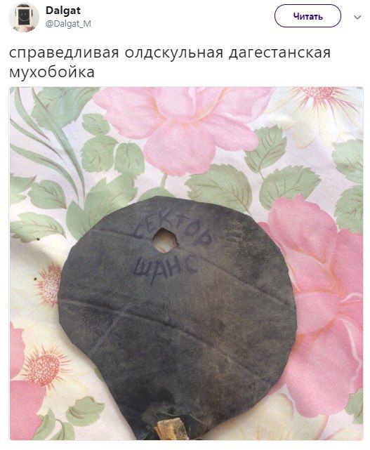Dax @Dalgat_M справедливая олдскульная дагестанская мухобойка Я