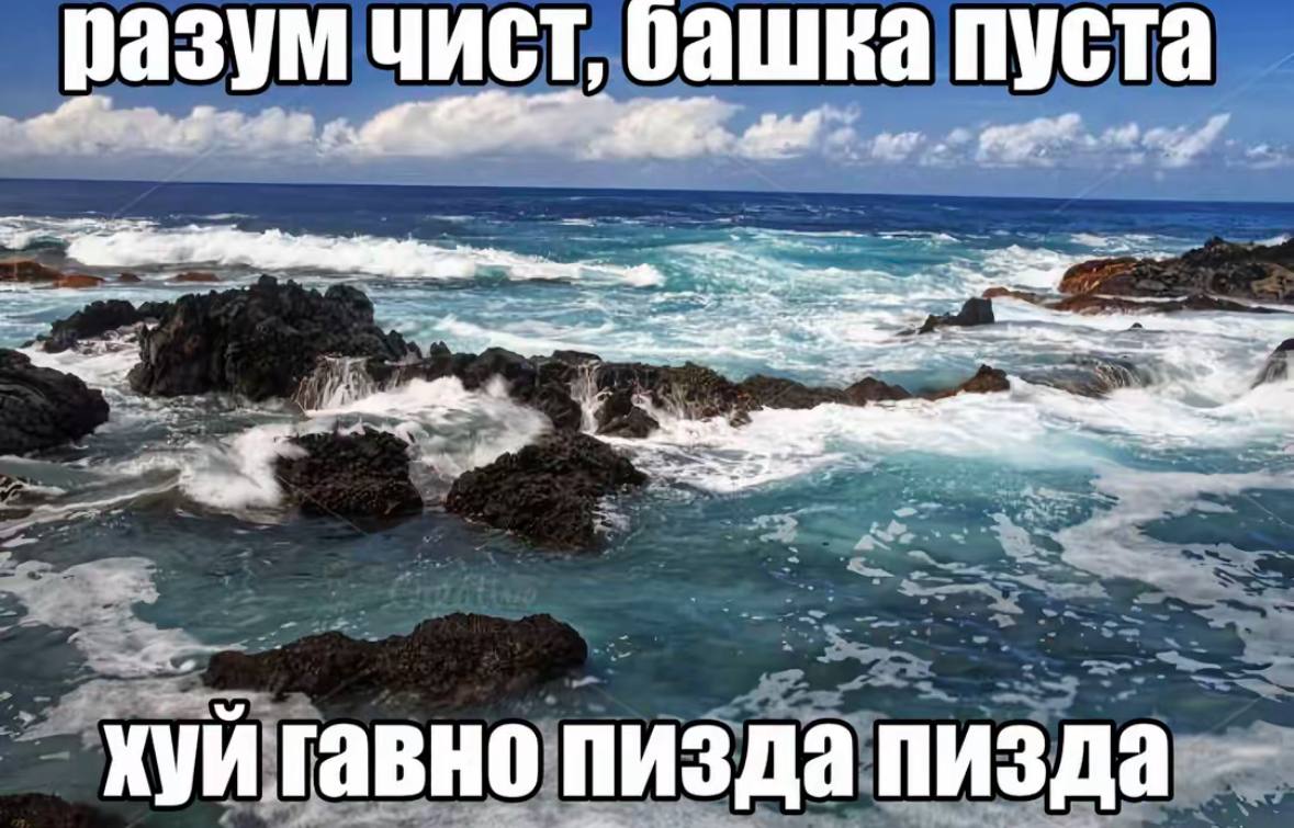 разум чист, башка пуста -4 a as 2 XVM гавно пизда пизда