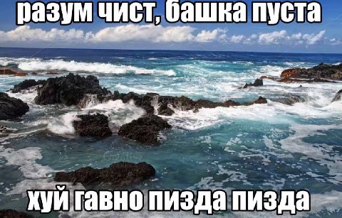 разум чист, башка пуста -4 a as 2 XVM гавно пизда пизда