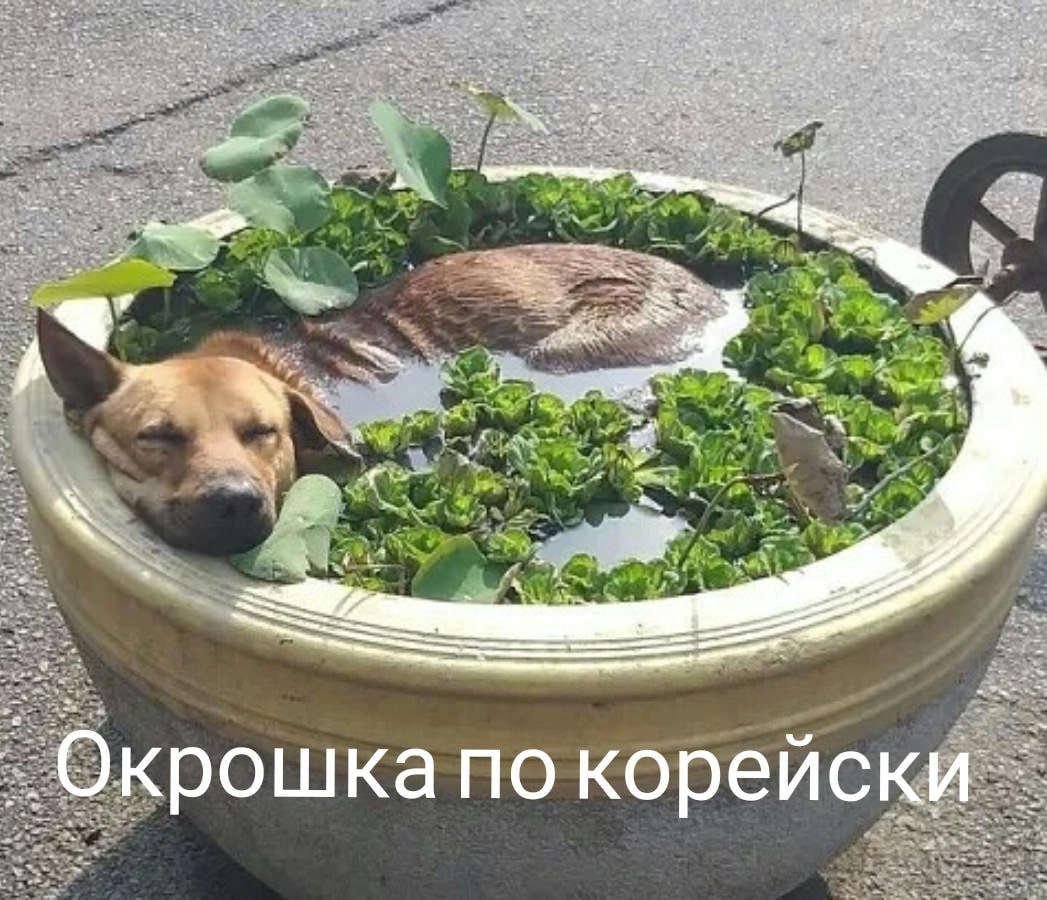 ЕЕ 4 28 “4 2 „Окрошка ПО корей К