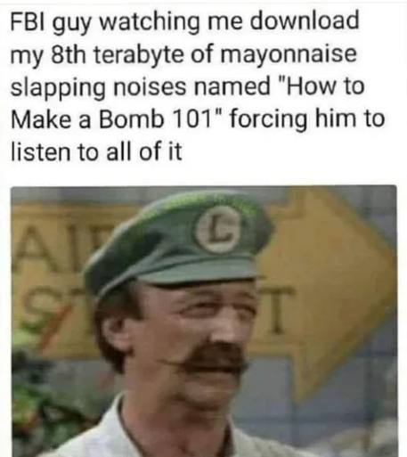 FBI guy watching me download my terabyte of mayonnaise slapping noises named "How to Make a Bomb 101" forcing him to listen to all of it