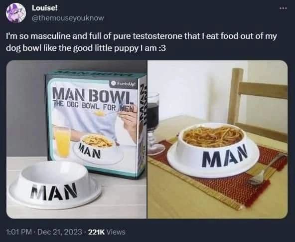 Louise! @themouseyouknow so masculine and full of pure testosterone that eat food out of my dog like the good little puppy :3 MAN THE 006 В OWL For IAN 1:07 Dec 21, 20 3: View