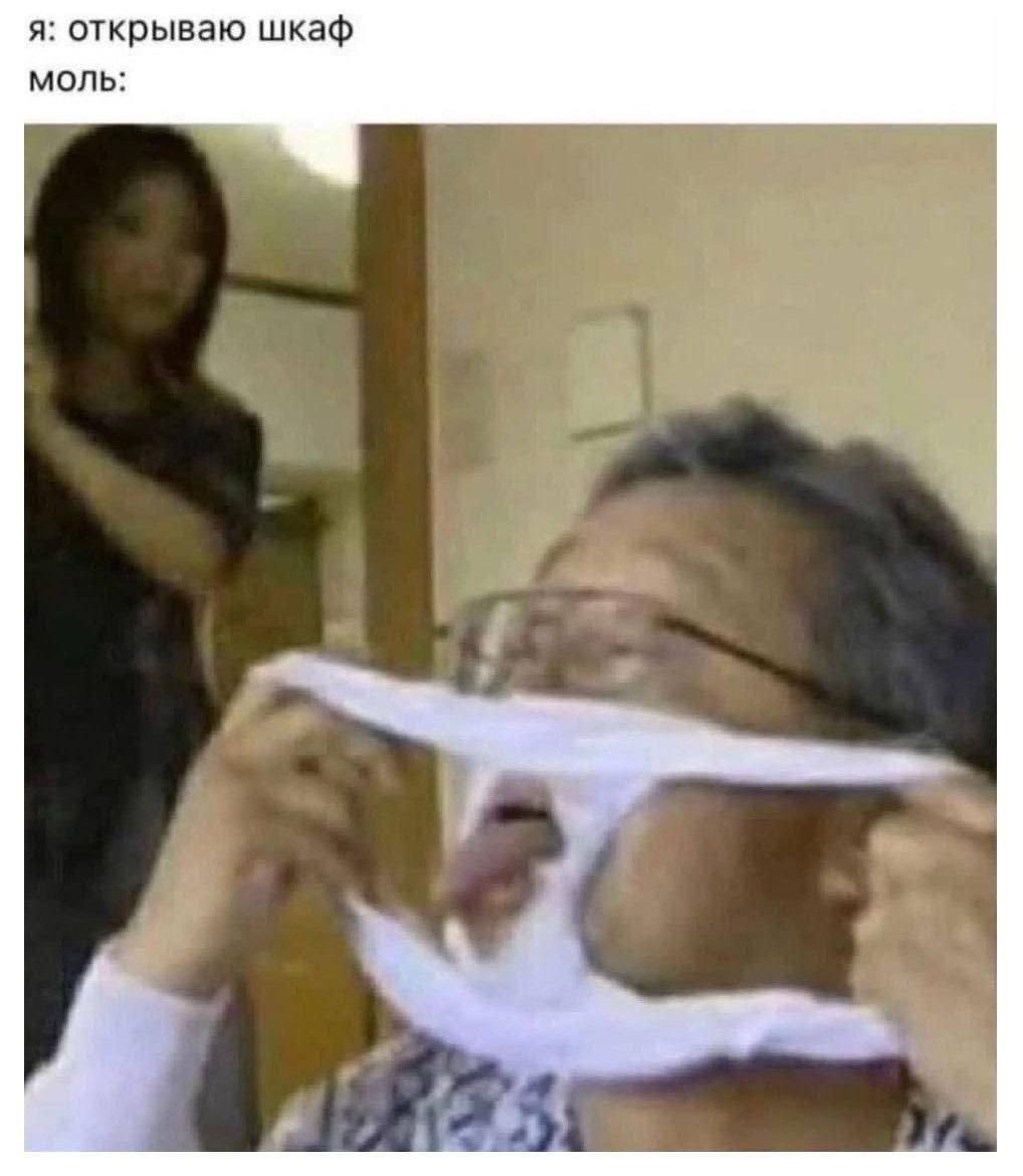 я: открываю шкаф моль: