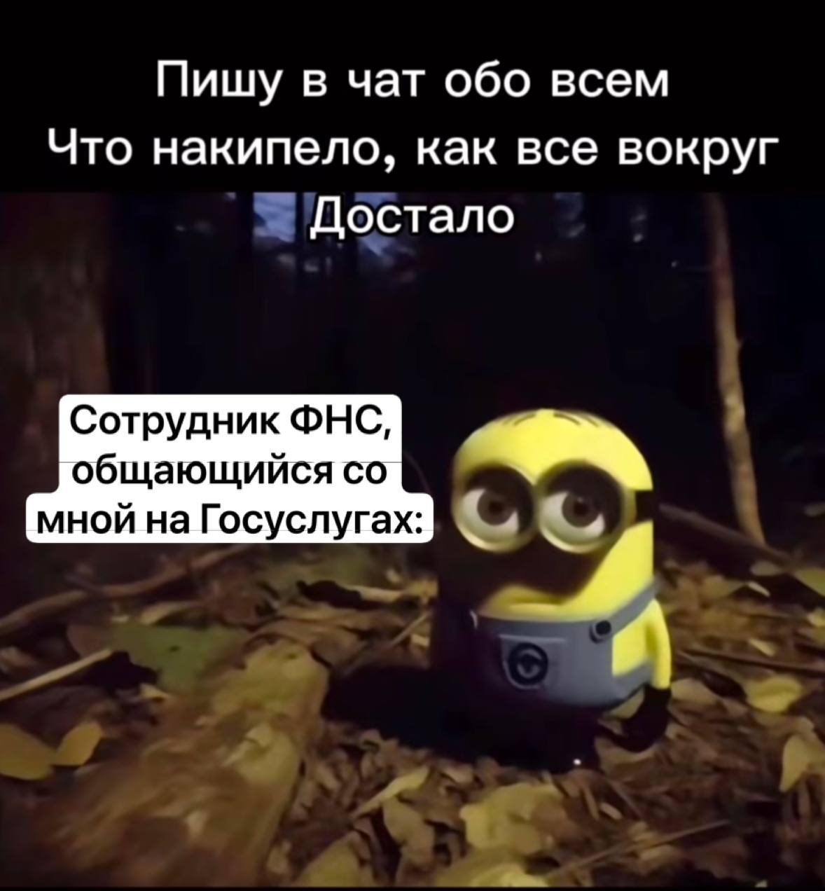 Пишу в чат обо всем Что накипело, как все вокруг Достало Сотрудник ФНС, общающийся мной на Госуслугах: