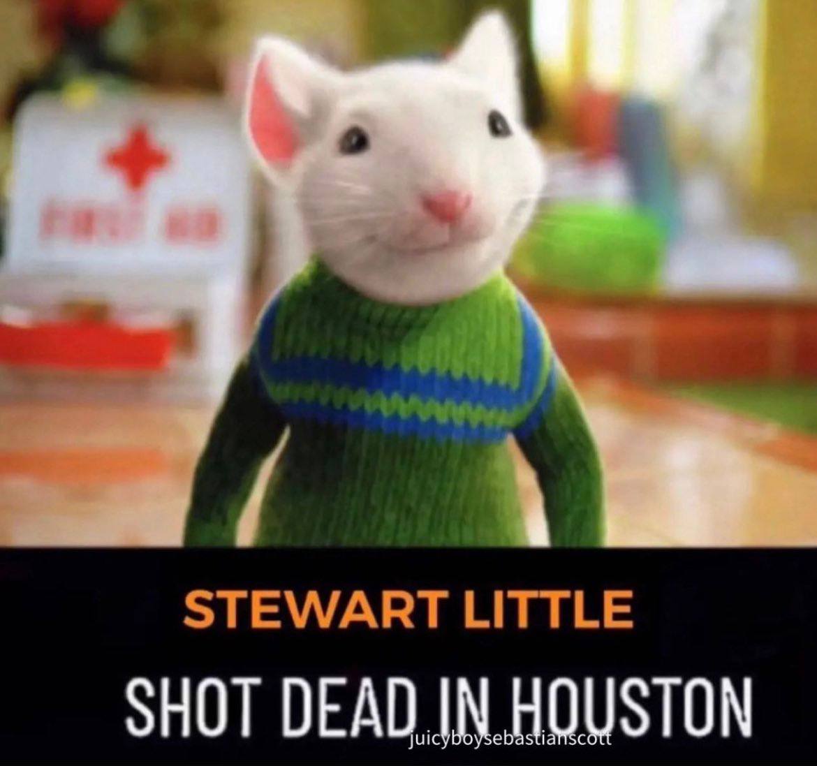 STEWART LITTLE SHOT
