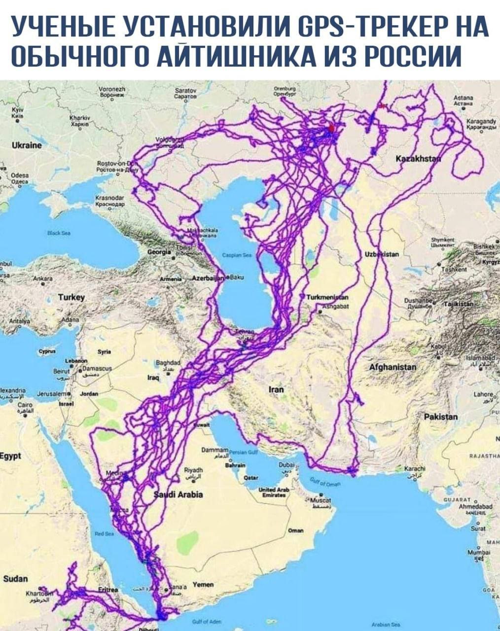 УЧЕНЫЕ УСТАНОВИЛИ GPS-TPEKEP ОБЫЧНОГО АИТИШНИКА ИЗ РОССИИ 2 Ukraine hes Bie 2 Karachi Surat Sudan