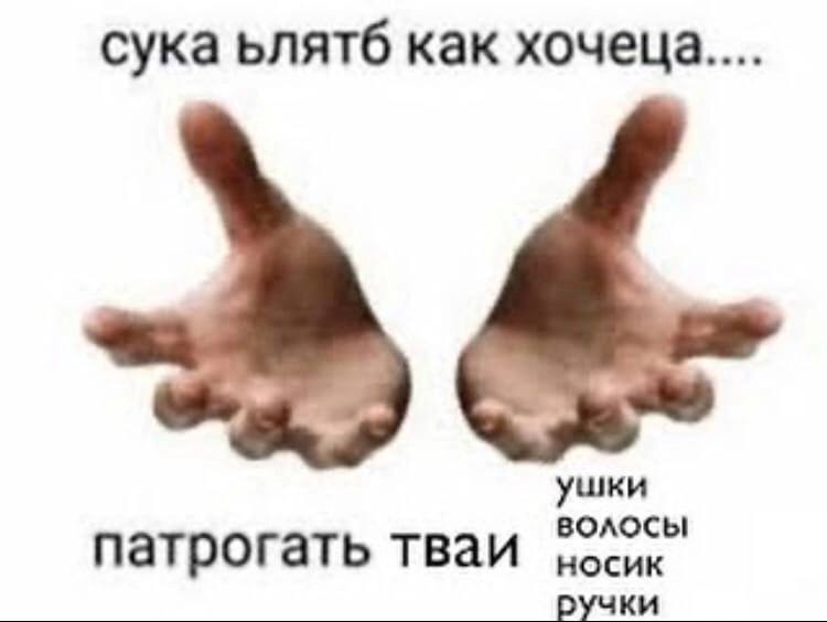 сука ьлятб как хочеца... ушки носик волосы патрогать тваи ручки