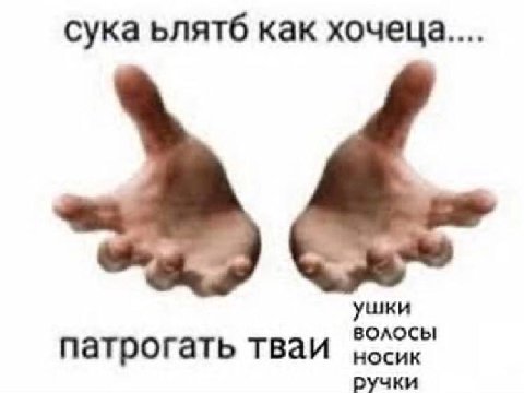 сука ьлятб как хочеца... ушки носик волосы патрогать тваи ручки