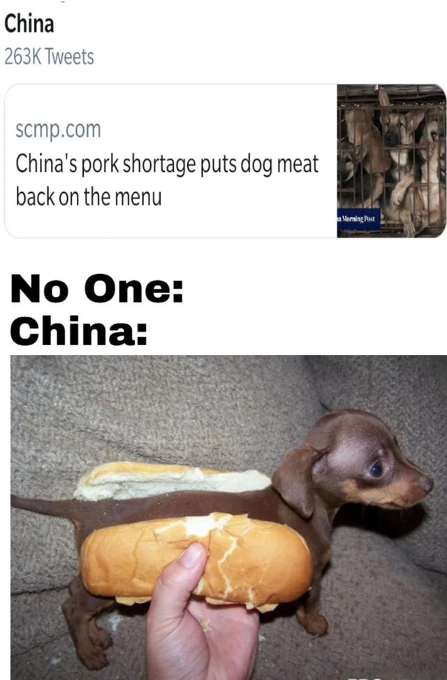 China Tweets scmp.com China's pork shortage puts dog meat back on the menu Опе: