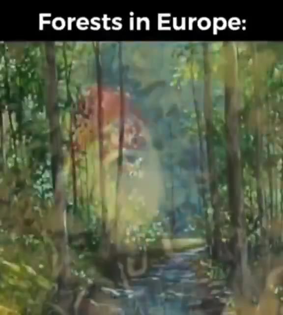 Forests т Europe: Forests in North America: