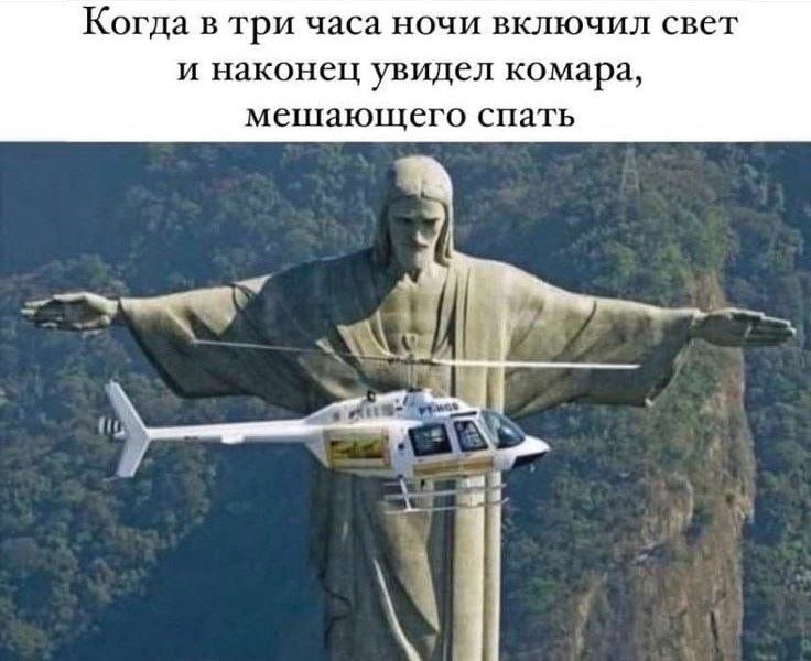 Когда в три часа ночи включил свет и наконец увидел комара, мешающего спать