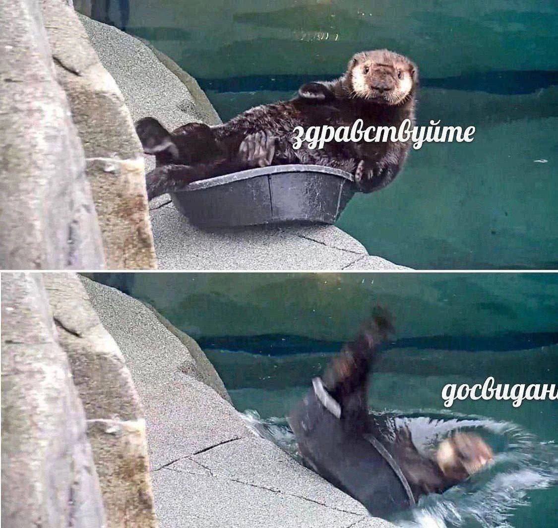2 здравствуйте