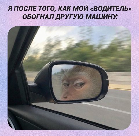 Я ПОСЛЕ ТОГО, КАК МОЙ «ВОДИТЕЛЬ» ОБОГНАЛ ДРУГУЮ МАШИНУ