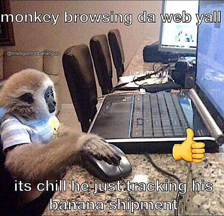 monkey browsing Alntelligentnibbahangout a A its just hice