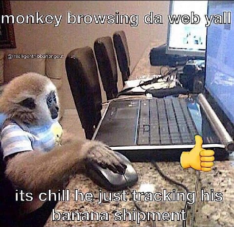 monkey browsing Alntelligentnibbahangout a A its just hice