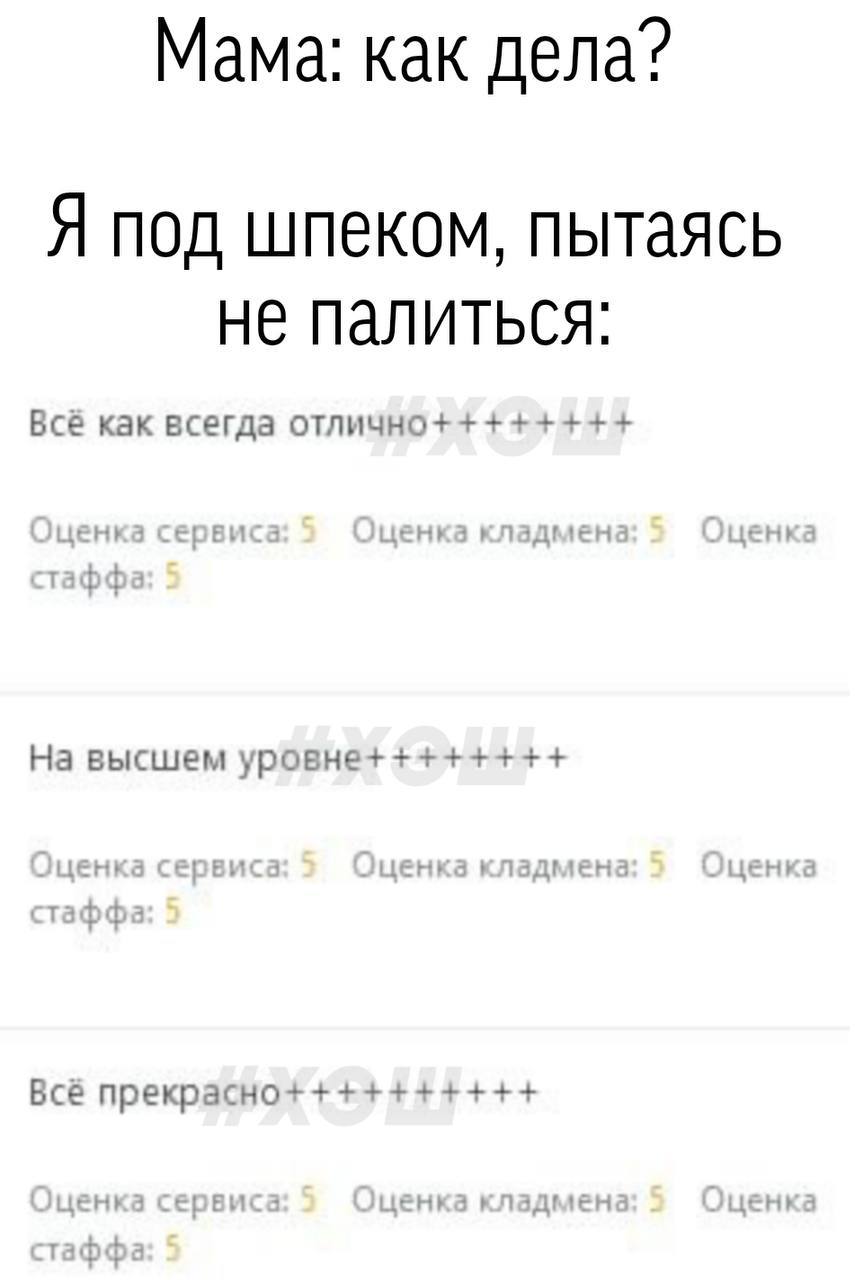 Мама: как дела? Я под шпеком, пытаясь HE ПалитьСся: Всё как всегда отлично+++++++ На высшем уровне++++++++ Всё прекрасно++++++++++