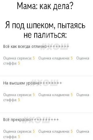 Мама: как дела? Я под шпеком, пытаясь HE ПалитьСся: Всё как всегда отлично+++++++ На высшем уровне++++++++ Всё прекрасно++++++++++
