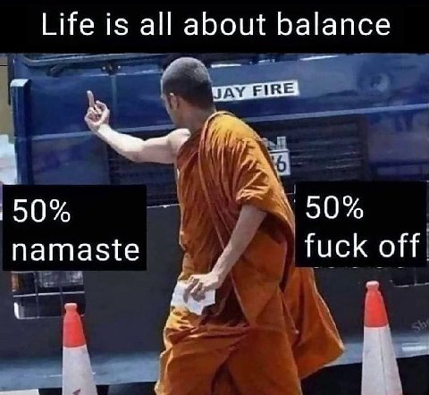 Life is all about balance 50% namaste fuck off