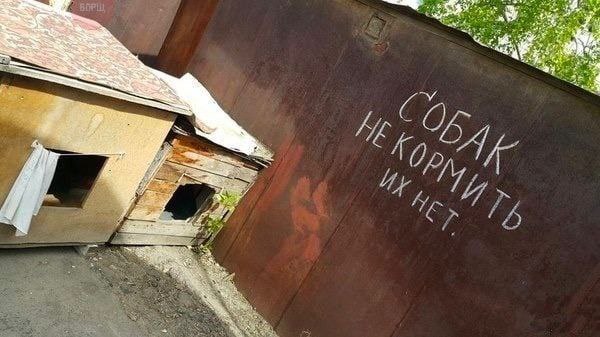 i у 4 2 A Я у Pal у