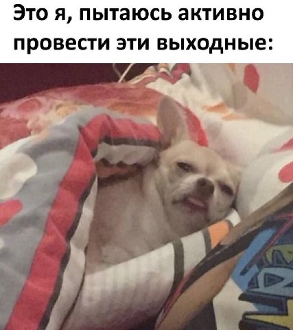 Это я, пытаюсь активно провести эти выходные: