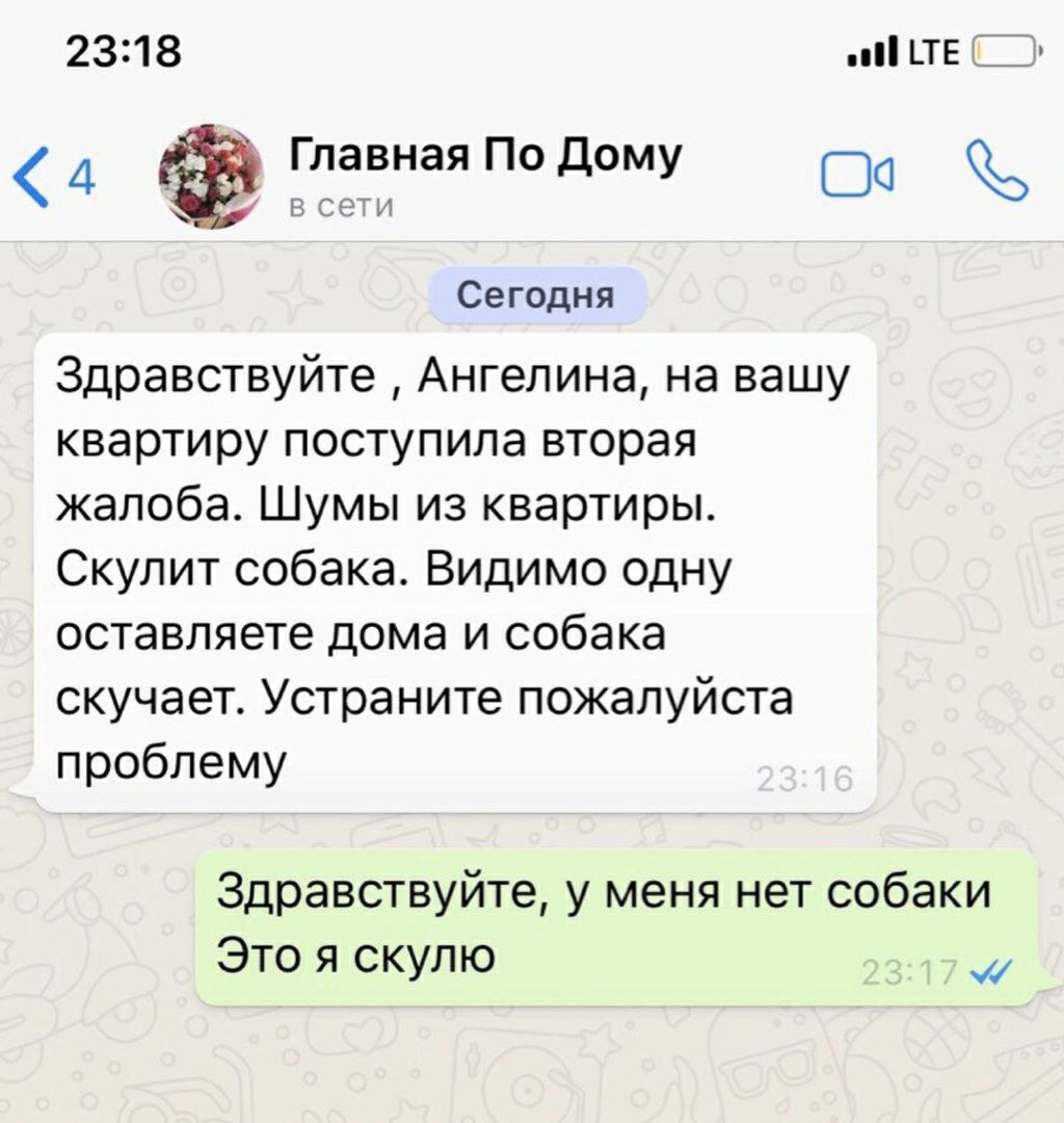 23:18 Главная По Дому ети Сегодня Здравствуйте Ангелина, на вашу квартиру поступила вторая жалоба. Шумы из квартиры. Скулит собака. Видимо одну оставляете дома и собака скучает. Устраните пожалуйста п