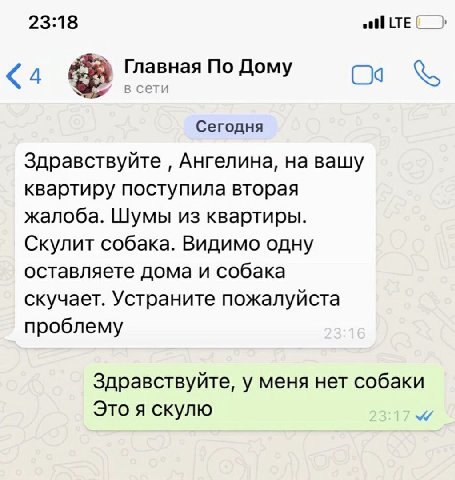 23:18 Главная По Дому ети Сегодня Здравствуйте Ангелина, на вашу квартиру поступила вторая жалоба. Шумы из квартиры. Скулит собака. Видимо одну оставляете дома и собака скучает. Устраните пожалуйста п