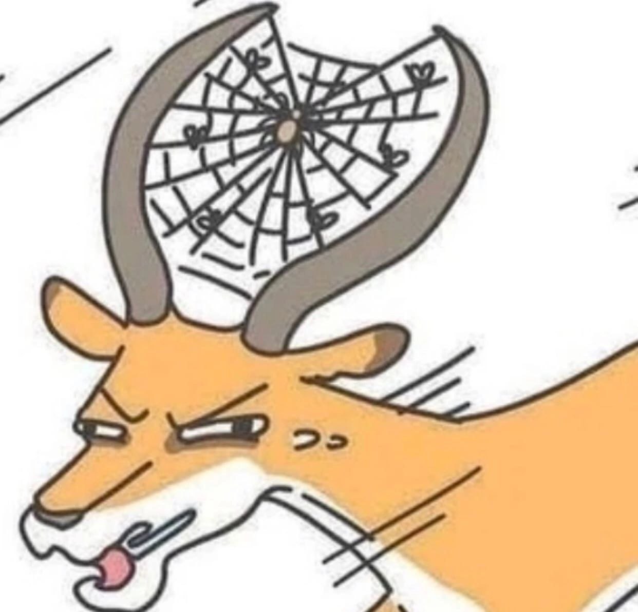 2>
