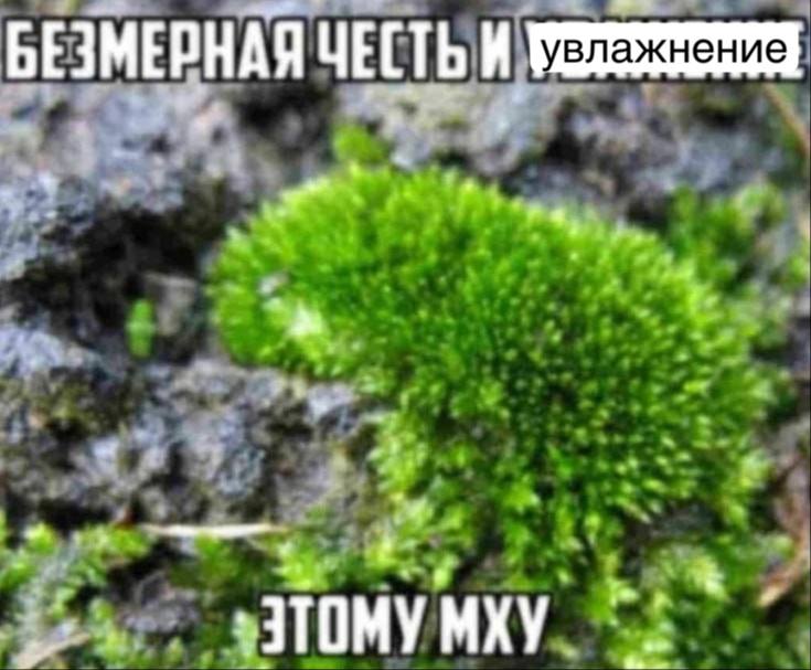 обновлено подписчиком