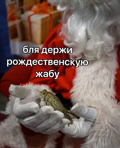 бля держи рождественскую жабу