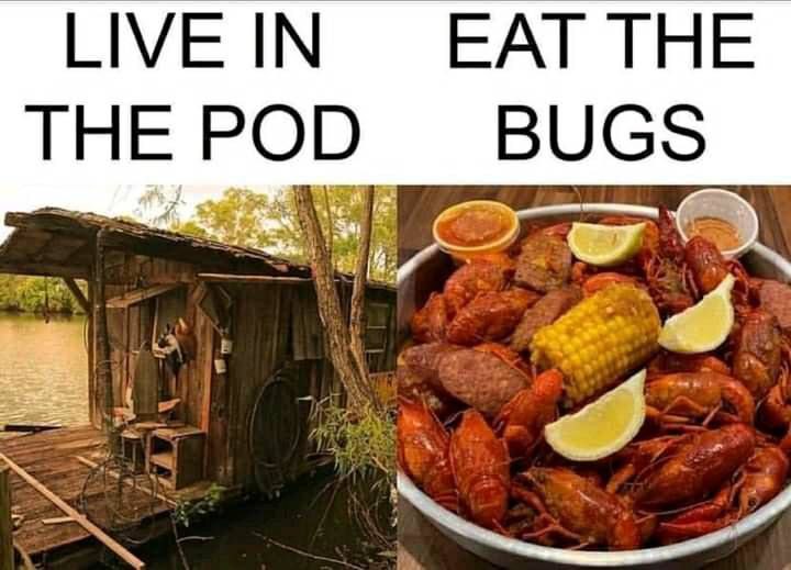LIVE IN EAT THE BUGS THE POD