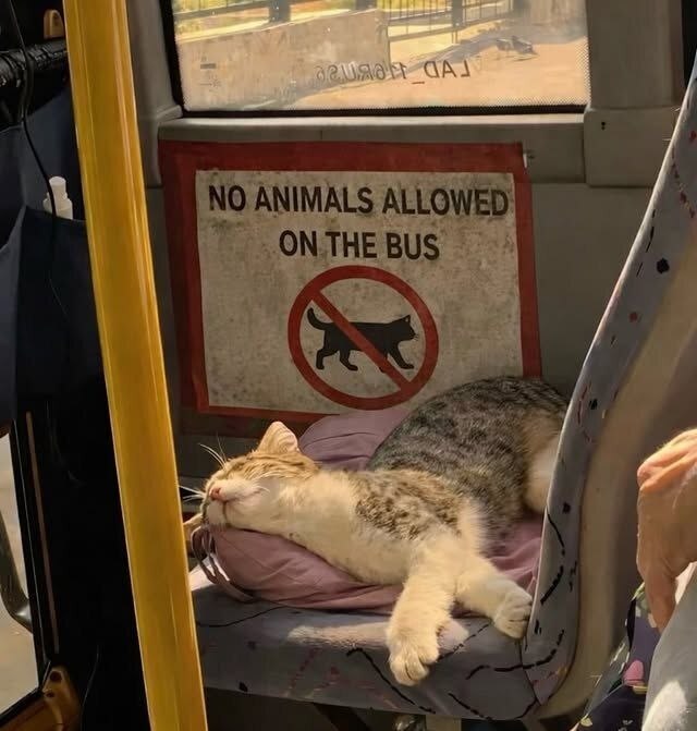 4 и 4