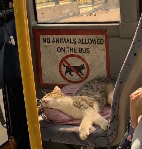 4 и 4