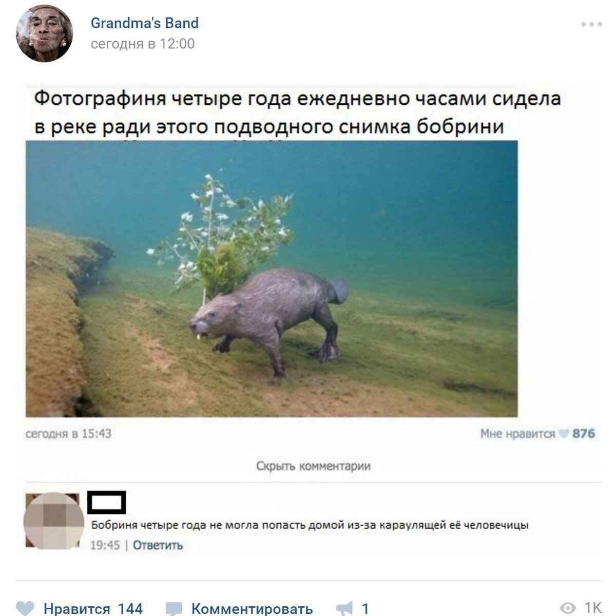 Grandma's Band сегодня в 12:00 Фотографиня четыре года ежедневно часами сидела в реке ради этого подводного снимка бобрини сегодня в 15:43 Мне нравится 876 Скрыть комментарии Бобриня четыре года не мо