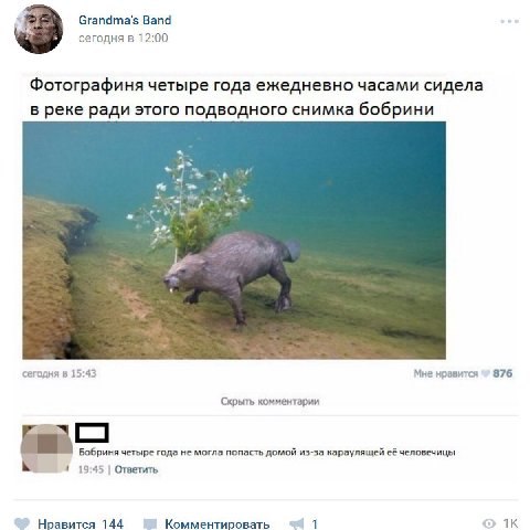 Grandma's Band сегодня в 12:00 Фотографиня четыре года ежедневно часами сидела в реке ради этого подводного снимка бобрини сегодня в 15:43 Мне нравится 876 Скрыть комментарии Бобриня четыре года не мо