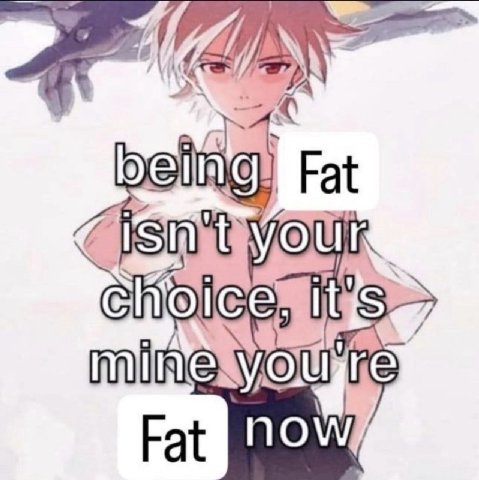 Fat Fat