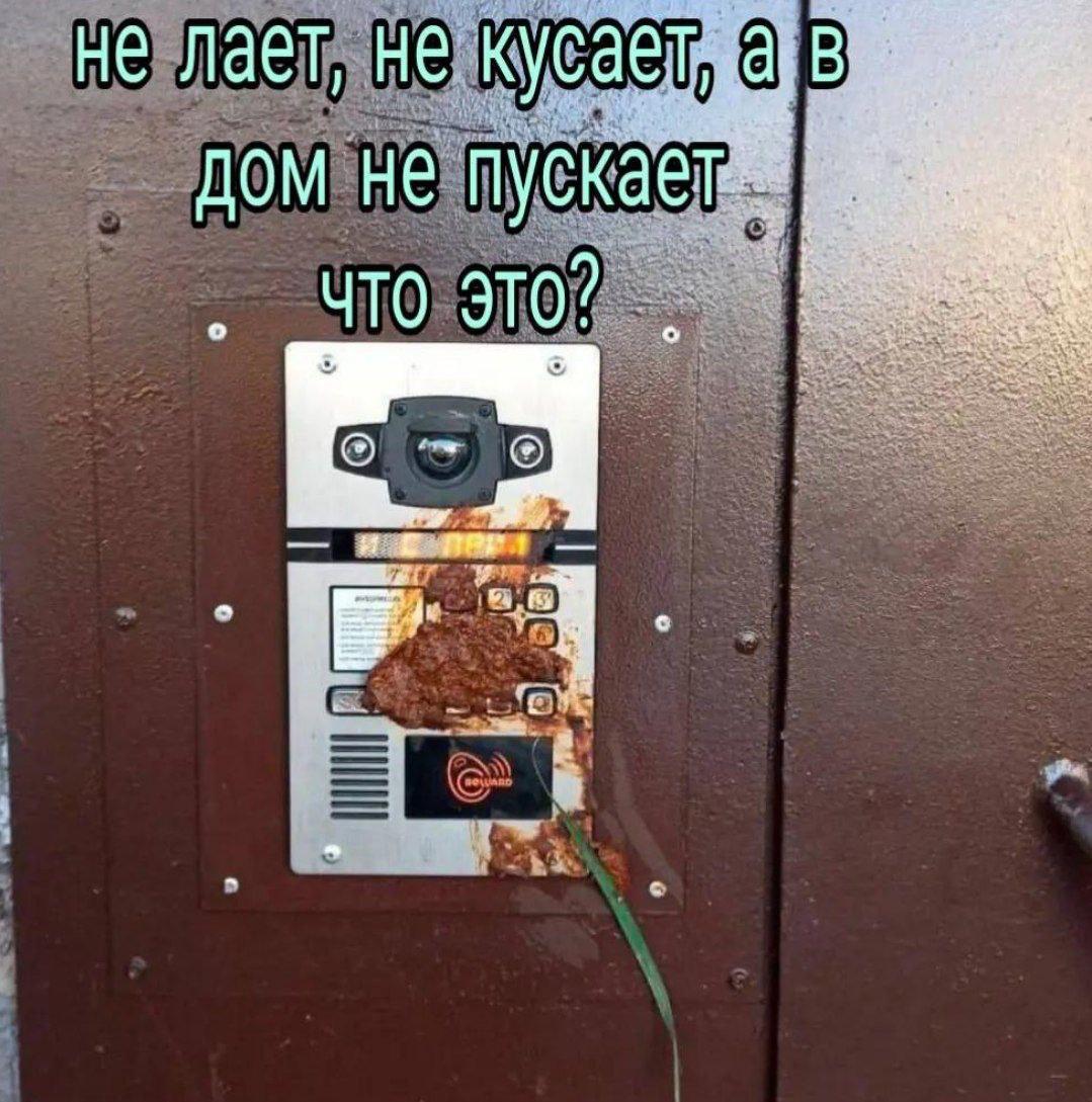 ‚В не лает, не кусает, а дом не пускает ЧТО ЭТО? mee at