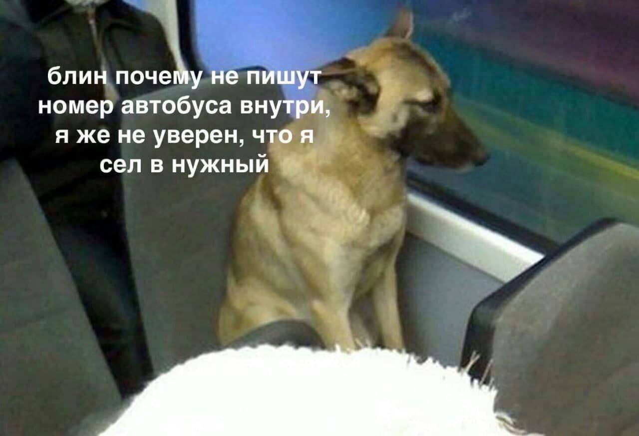 блин почему не пишут номер автобуса внутри, я же не уверен, что я сел в нужный