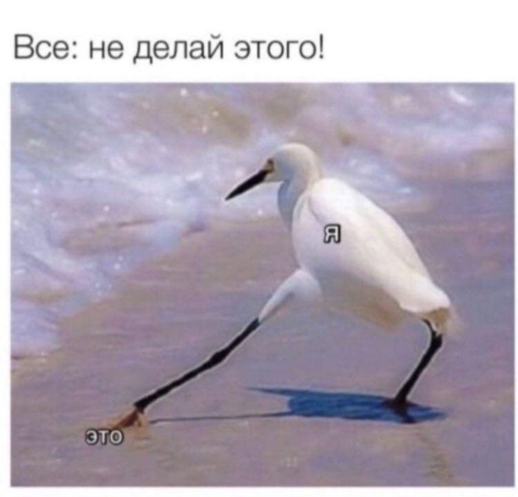 Все: не делай этого!