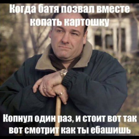 Когда батя позвал вместе картошку Копнул один раз, и стоит вот так вот смотрит как ты ебашишь