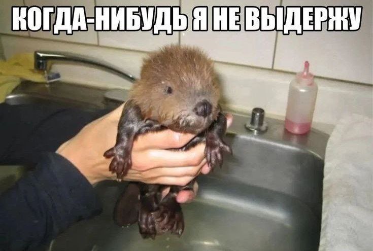 КОГДА-НИБУДЬ Я НЕВЫДЕРЖУ а у