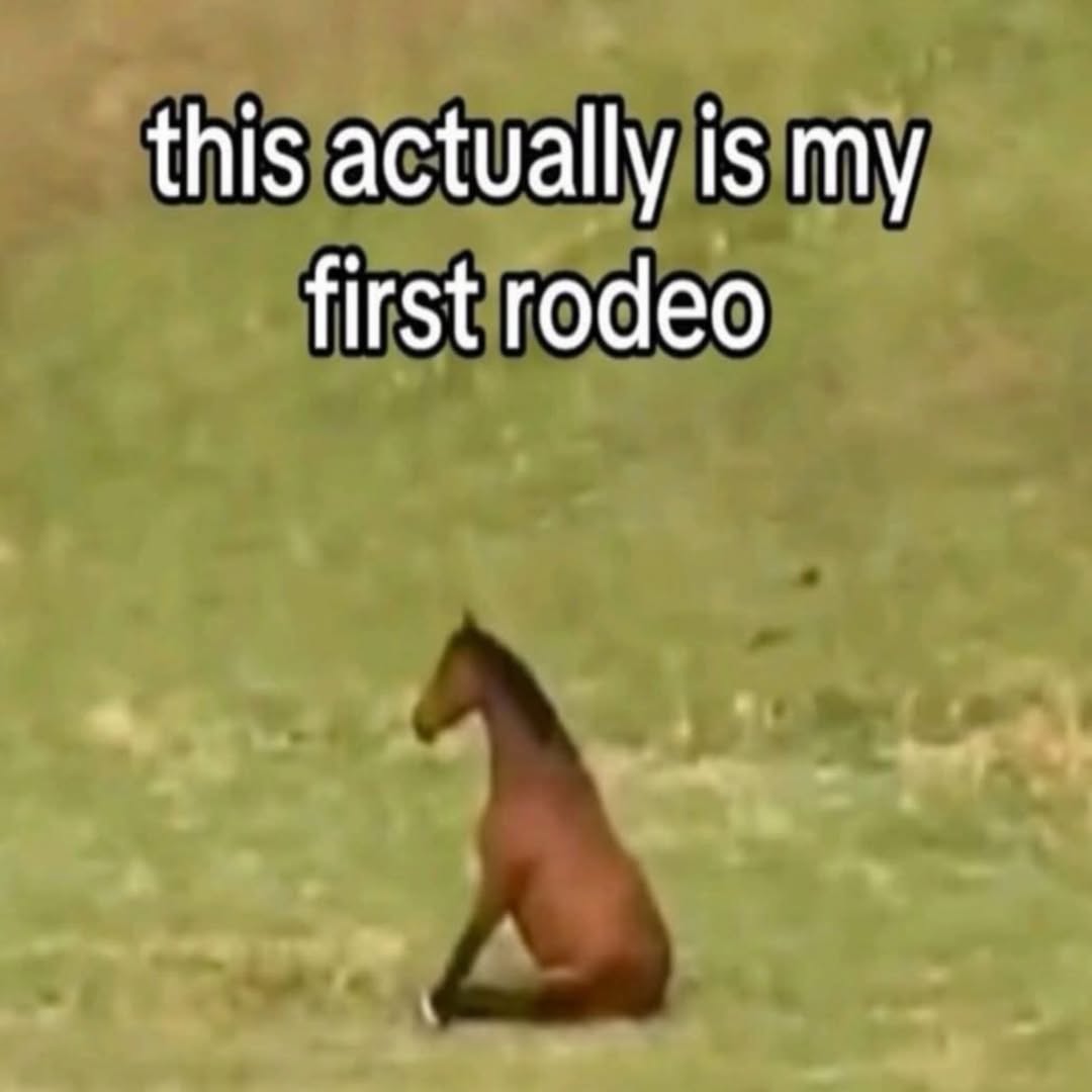 this actually is my first rodeo