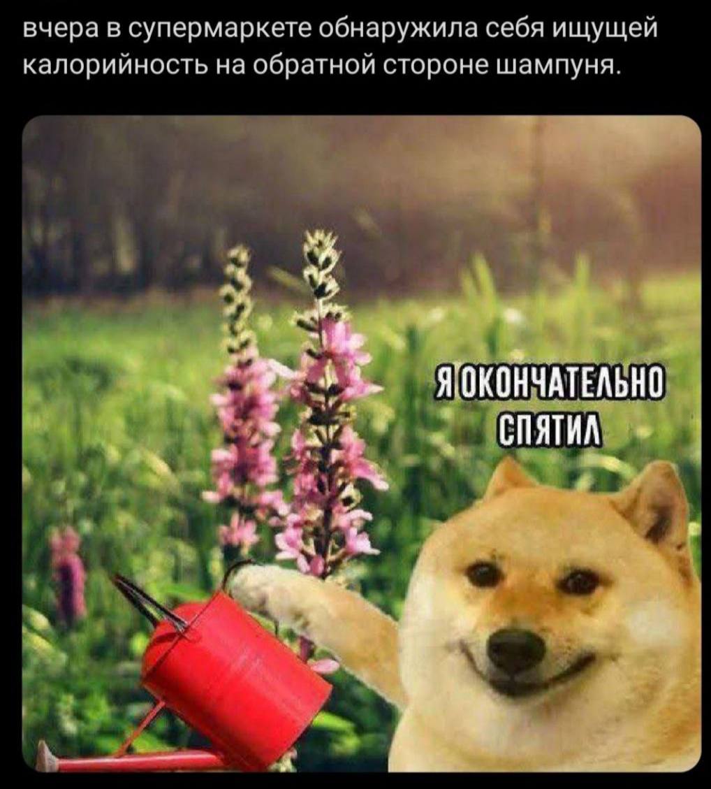 вчера в супермаркете обнаружила себя ищущей калорийность на обратной стороне шампуня. a 8 Я ОКОНЧАТЕЛЬНО