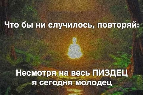 Что бы ни случилось, повторяй: Несмотря на весь ПИЗДЕЦ я сегодня молодец