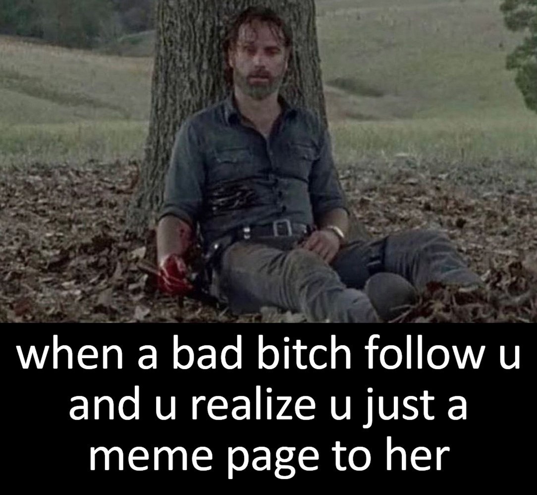 when а bad bitch follow и and realize just a meme page to her