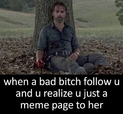 when а bad bitch follow и and realize just a meme page to her