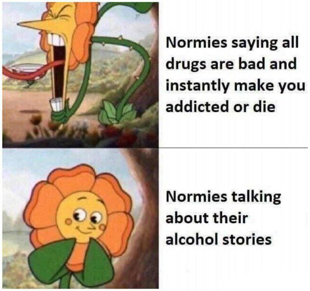 Normies saying all drugs are bad and 4 instantly make you addicted or die Normies talking about their alcohol stories