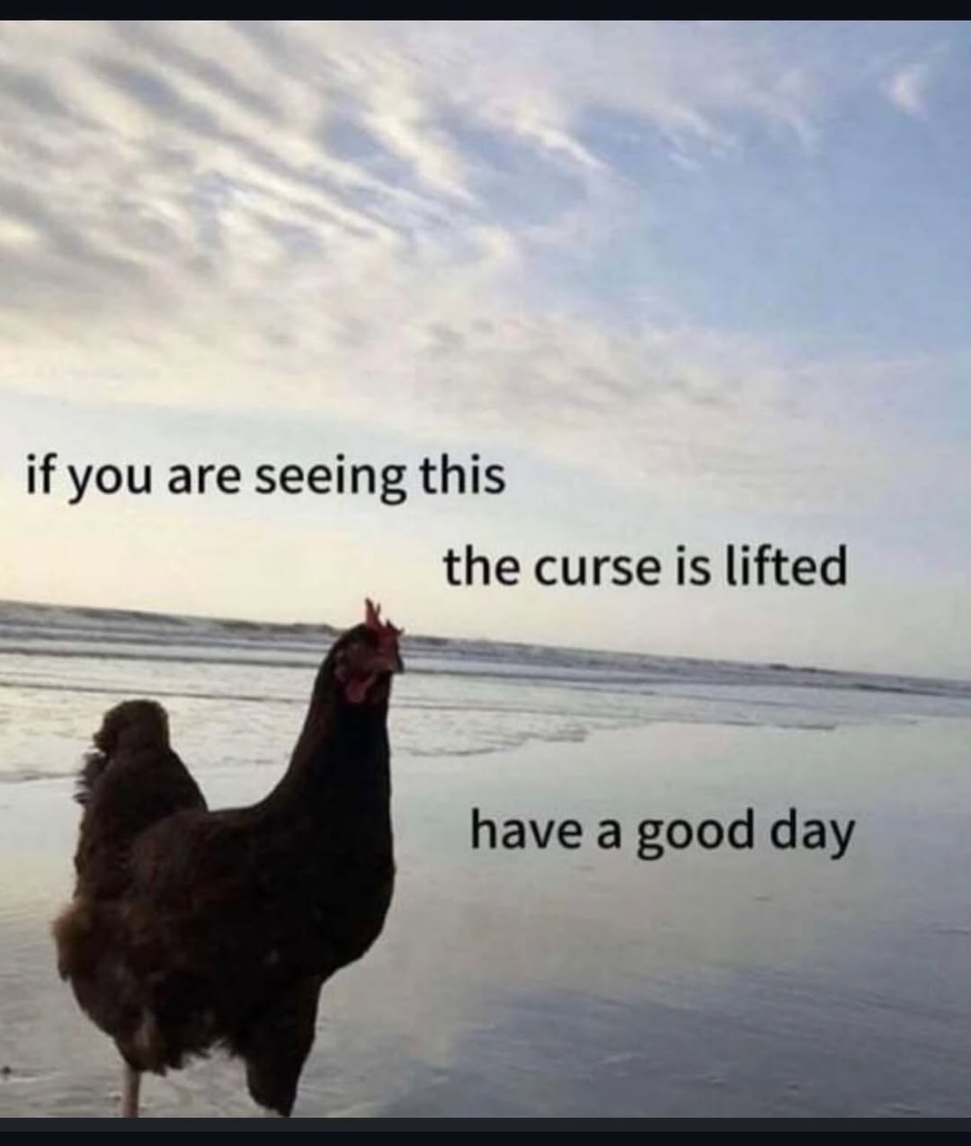 if you are seeing this the curse is lifted have a good day