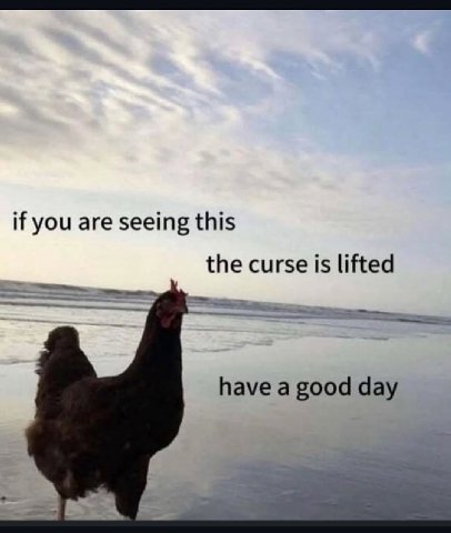 if you are seeing this the curse is lifted have a good day