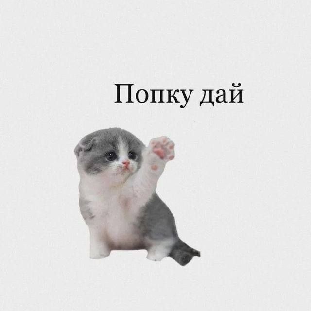 Попку дай 2